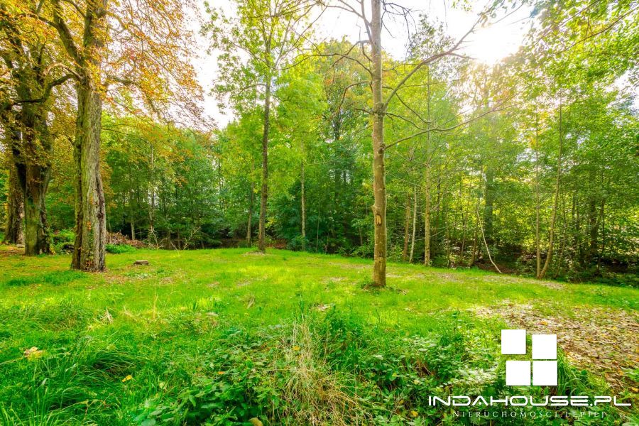 Działka budowlana z własnym lasem i strumieniem... (1)