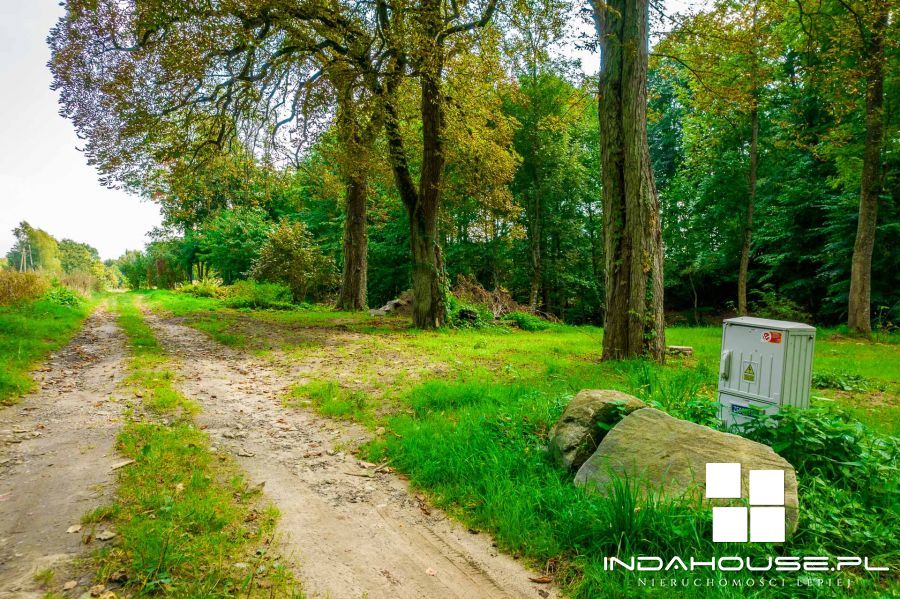 Działka budowlana z własnym lasem i strumieniem... (15)