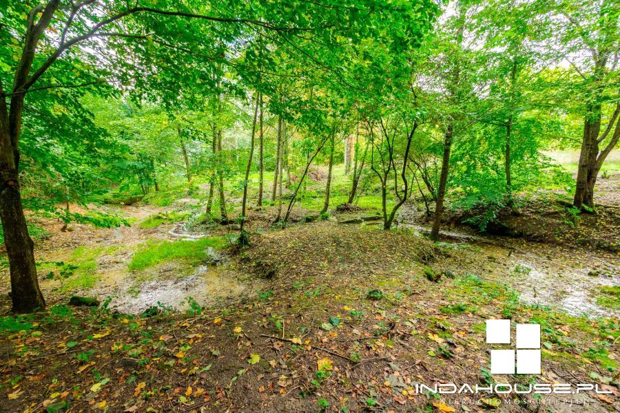 Działka budowlana z własnym lasem i strumieniem... (18)