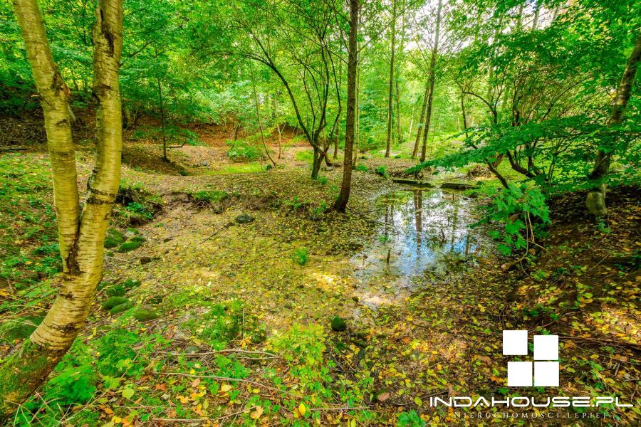 Działka budowlana z własnym lasem i strumieniem... (19)