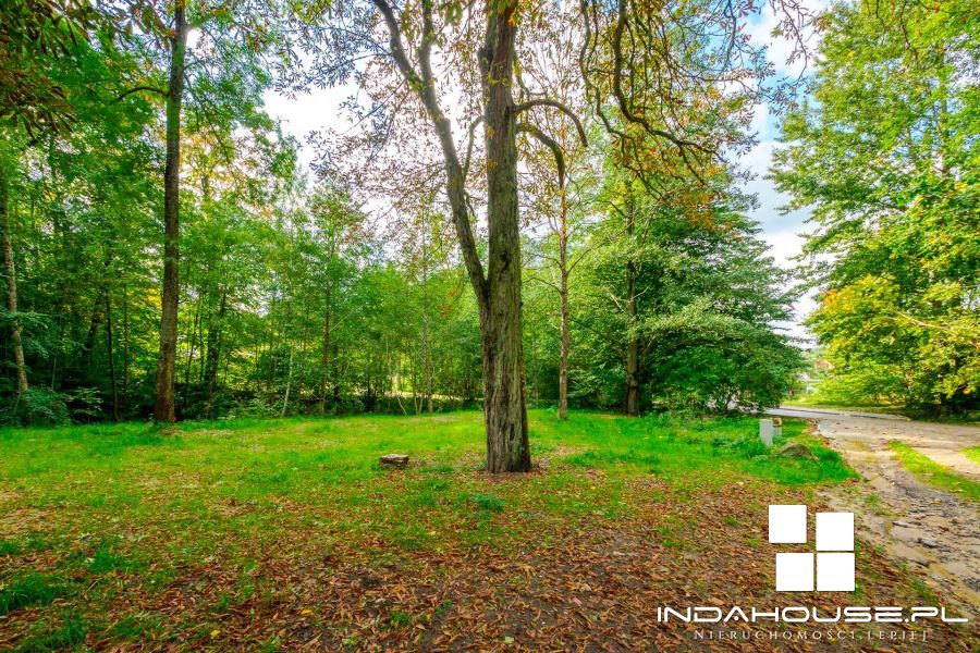 Działka budowlana z własnym lasem i strumieniem... (2)