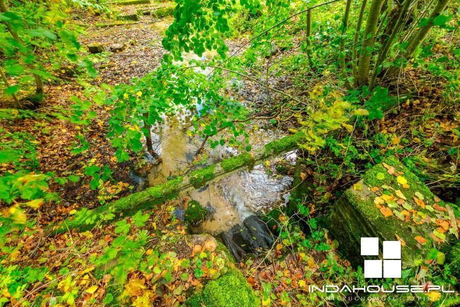 Działka budowlana z własnym lasem i strumieniem... (20)