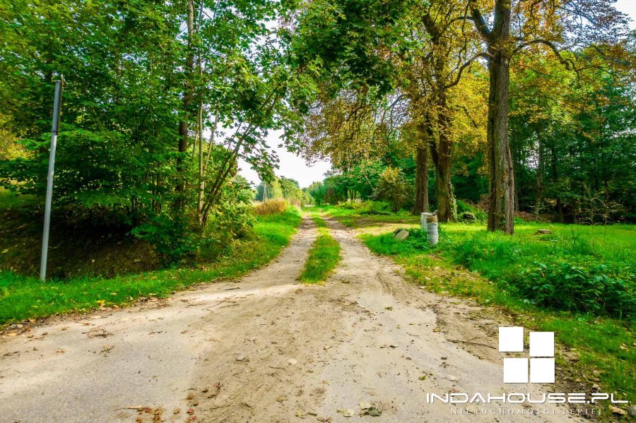 Działka budowlana z własnym lasem i strumieniem... (26)