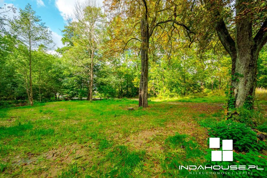 Działka budowlana z własnym lasem i strumieniem... (28)