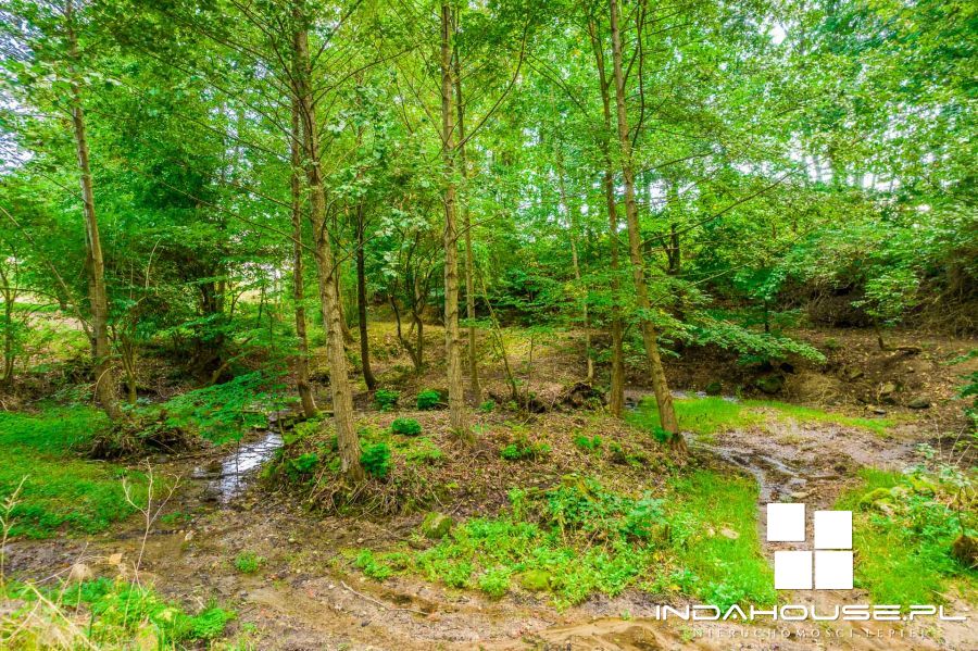 Działka budowlana z własnym lasem i strumieniem... (3)