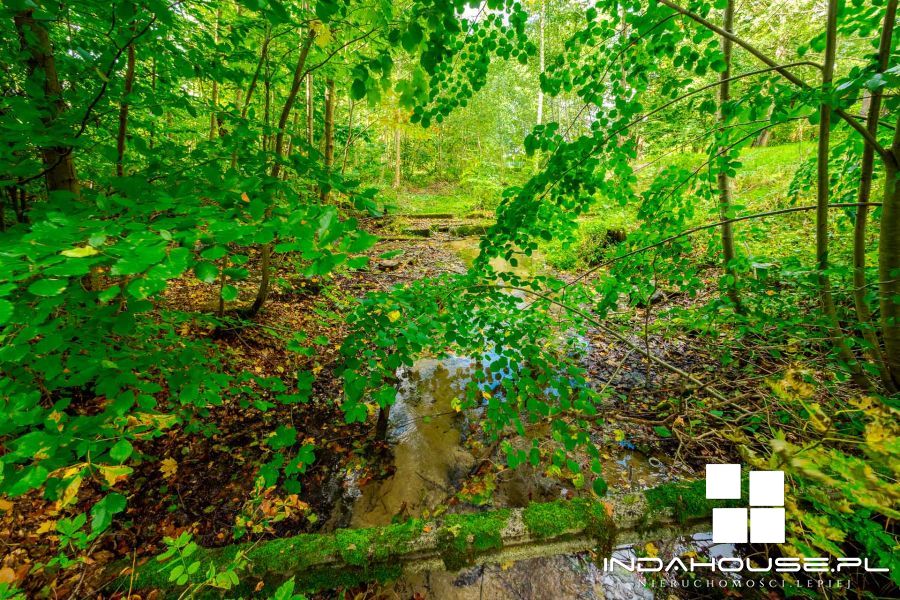 Działka budowlana z własnym lasem i strumieniem... (30)