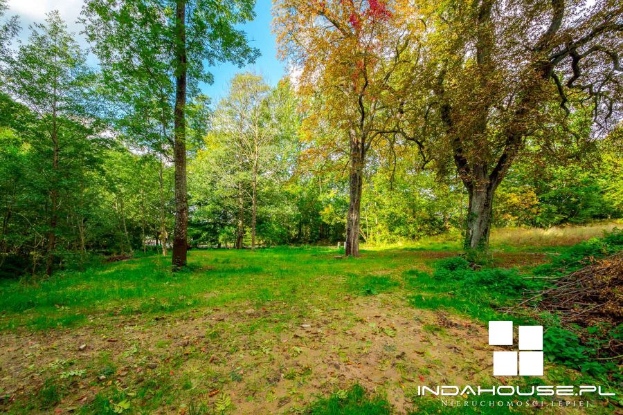 Działka budowlana z własnym lasem i strumieniem... (31)