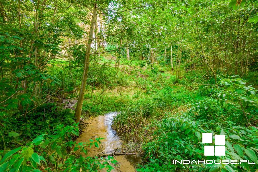 Działka budowlana z własnym lasem i strumieniem... (4)