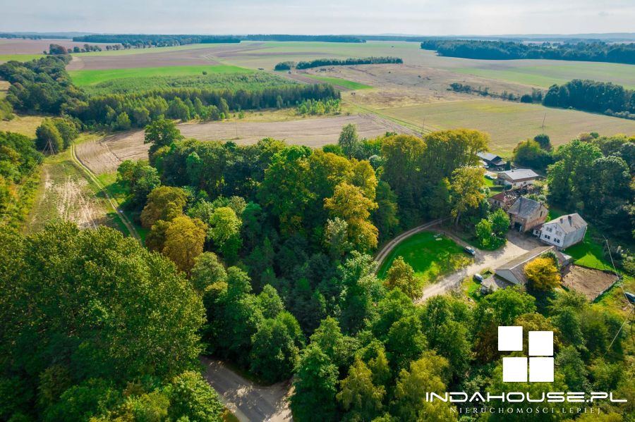 Działka budowlana z własnym lasem i strumieniem... (9)