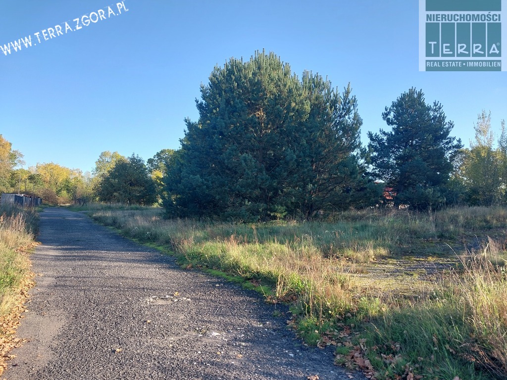 Duża działka budowlana (3)