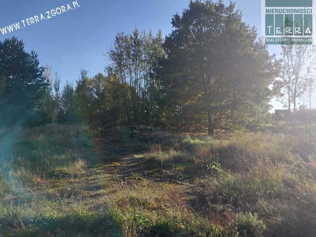 Duża działka budowlana (2)