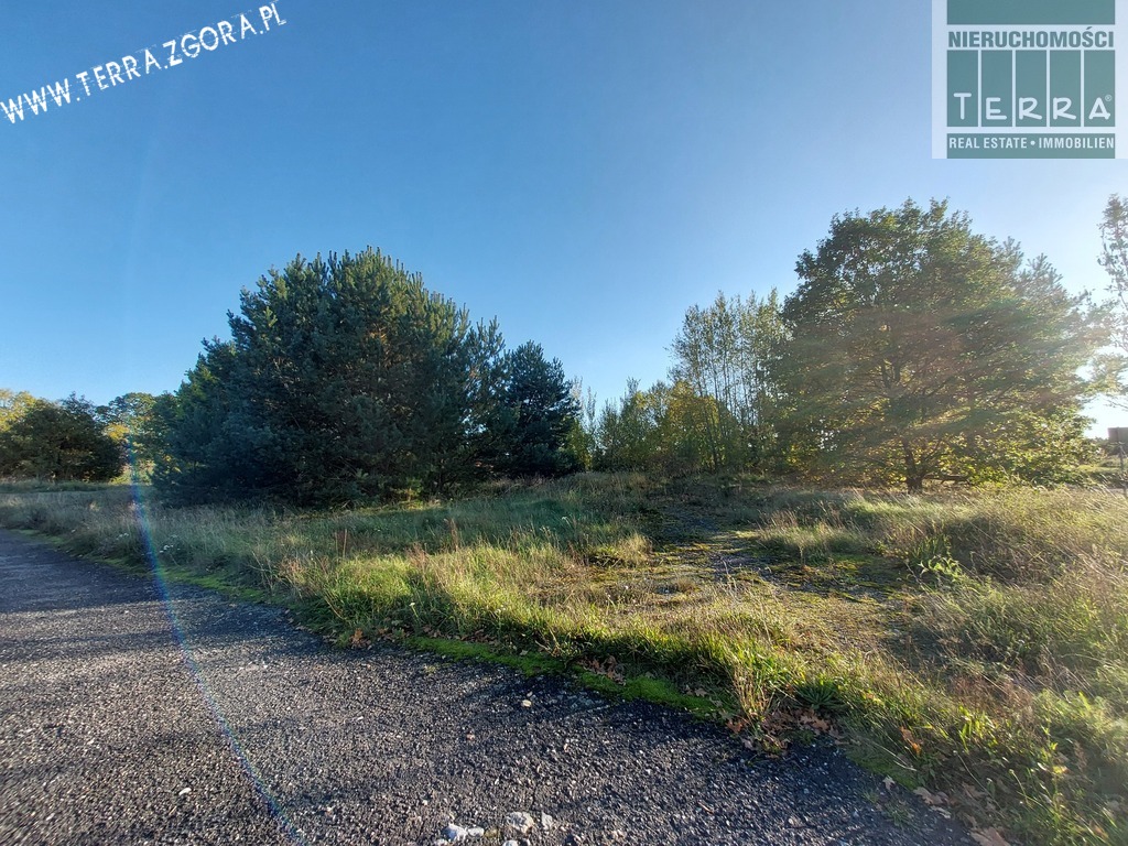 Duża działka budowlana (1)