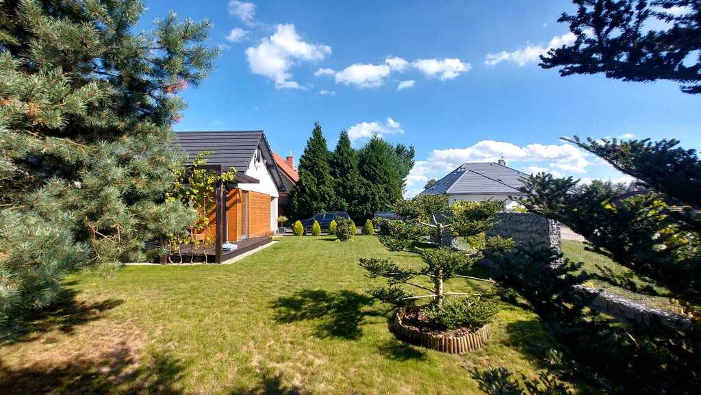 Obrzeża Goleniowa, blisko Puszcza Goleniowska (14)