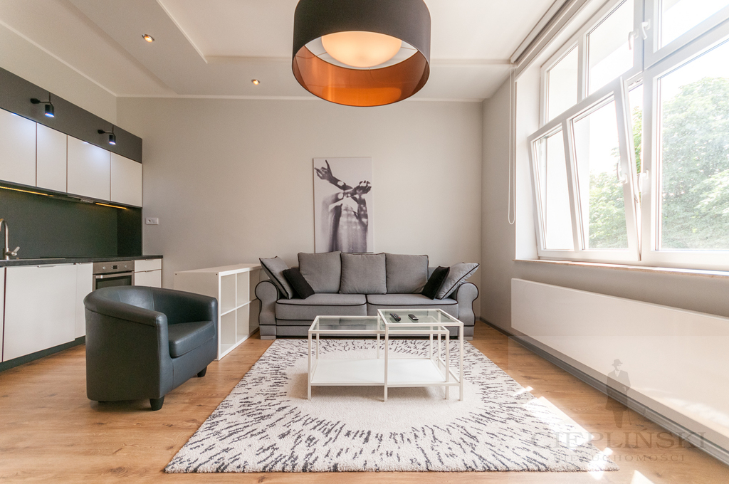 APARTAMENT 100 M OD CH KASKADY, WIDOK NA PARK (2)