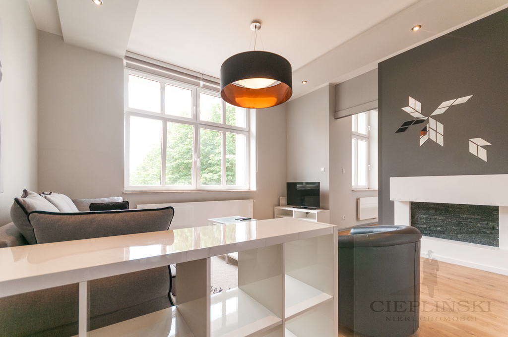 APARTAMENT 100 M OD CH KASKADY, WIDOK NA PARK (6)