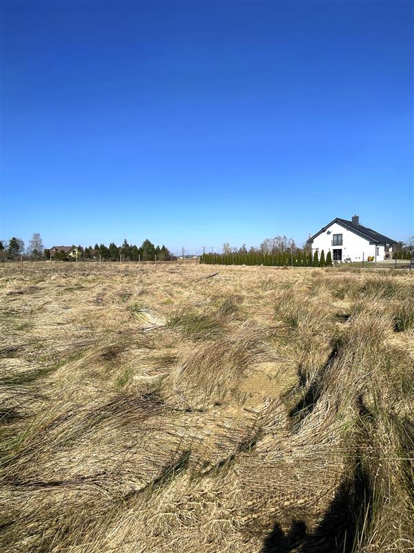 Działka budowlana - Kłos Kłos (6)