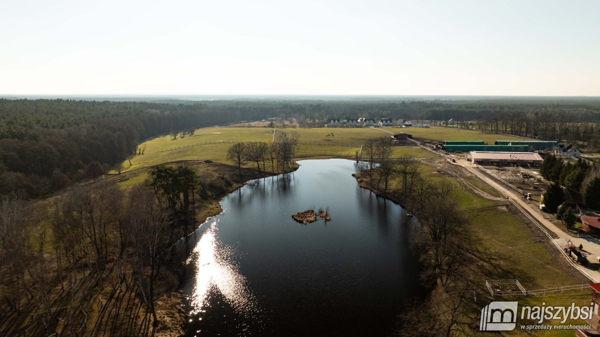 Poczernin/Przemocze - dom 222m ² z dużą działką  (28)