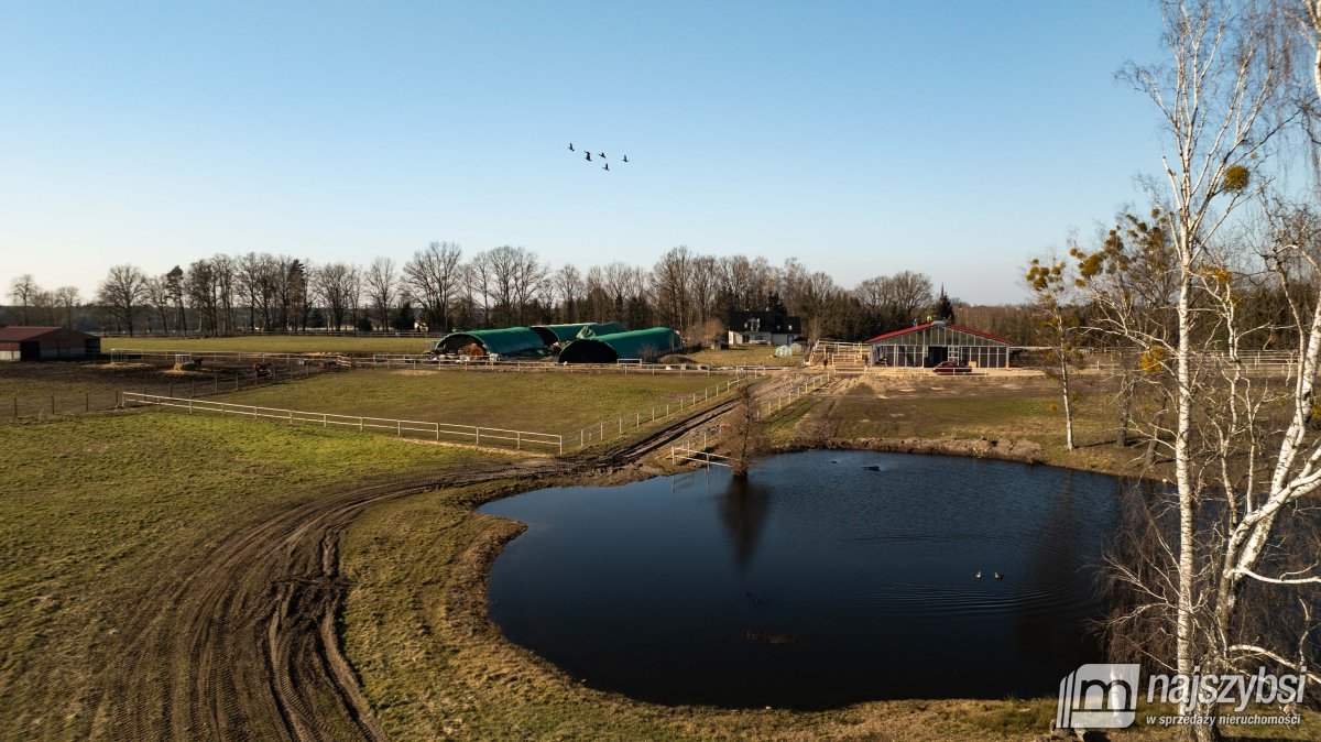 Poczernin/Przemocze - dom 222m ² z dużą działką  (3)