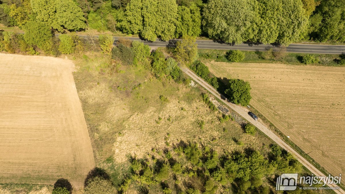 Tarnowiec - duża działka 4225m2 z warunkami (11)