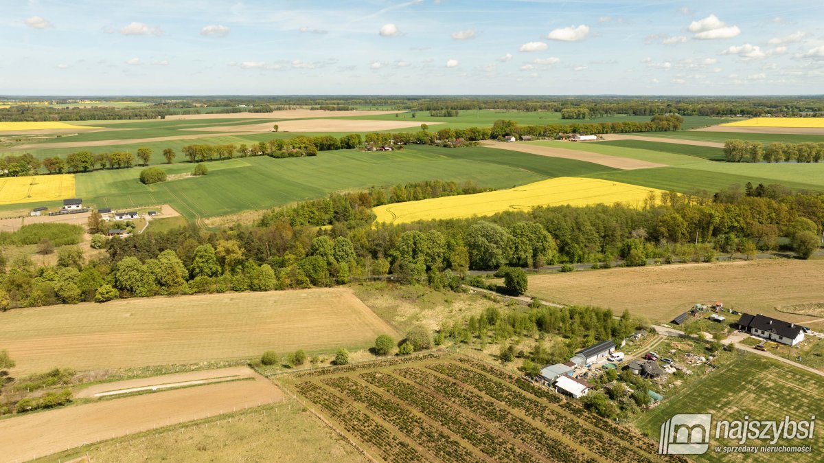 Tarnowiec - duża działka 4225m2 z warunkami (3)