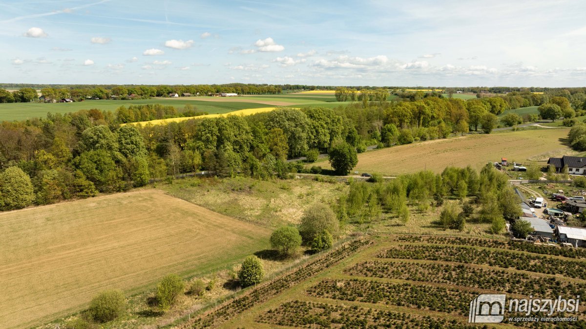 Tarnowiec - duża działka 4225m2 z warunkami (4)