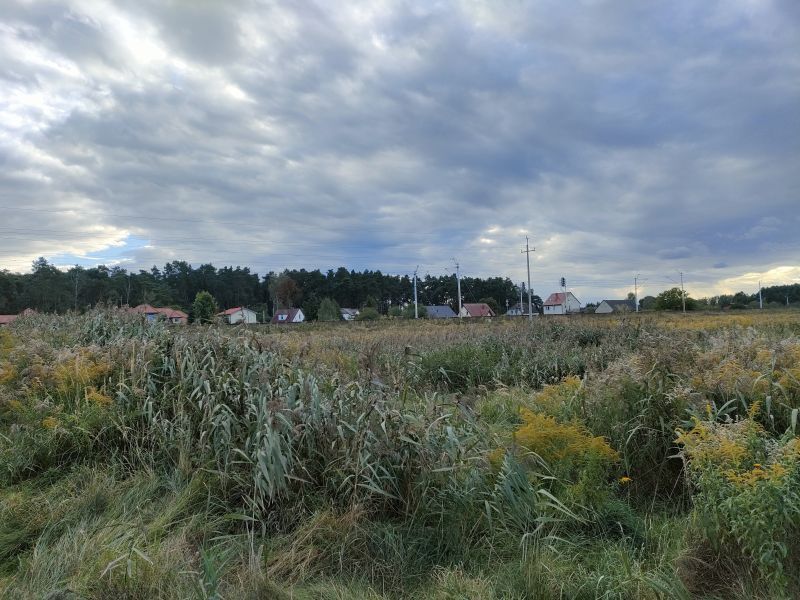 Działka komercyjna o pow. 3748 m2 Wielgowo (3)
