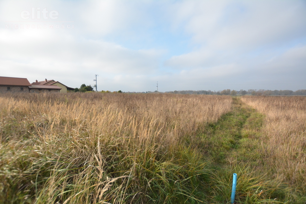 Budowlana, 1,000 m2, Wołczkowo  (5)