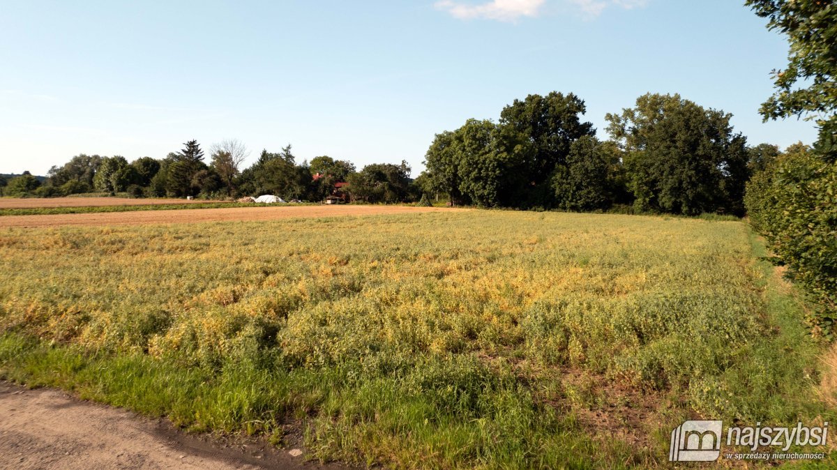 Świecie Kołobrzeskie - działka na sprzedaż 5400m2 (4)