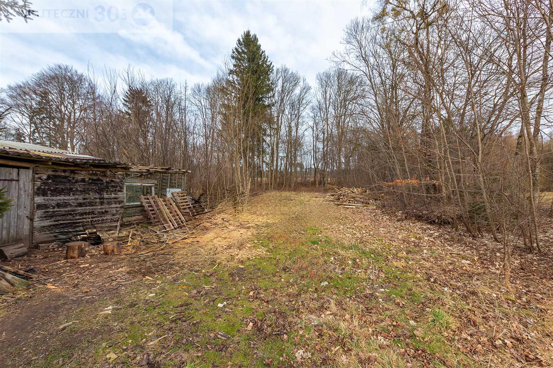 Mieszkanie - Buczki  (12)