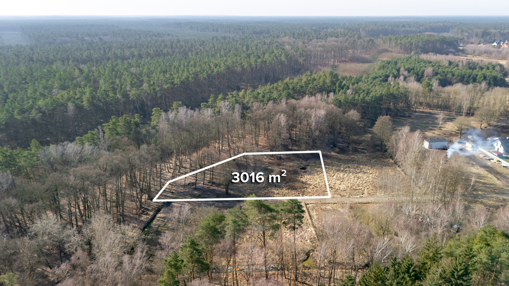 Działka pod lasem w okolicy Zalewu Szczecińskiego. (3)