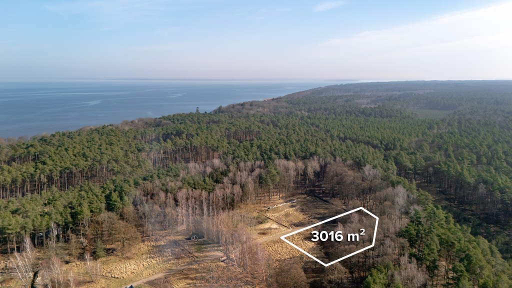 Działka pod lasem w okolicy Zalewu Szczecińskiego. (5)