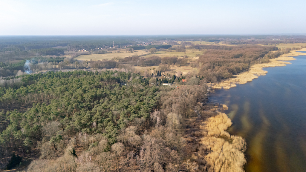 Działka pod lasem w okolicy Zalewu Szczecińskiego. (6)