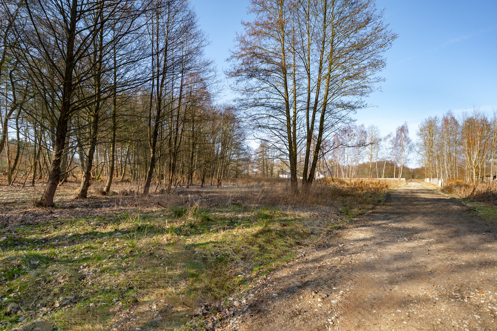 Działka pod lasem w okolicy Zalewu Szczecińskiego. (7)