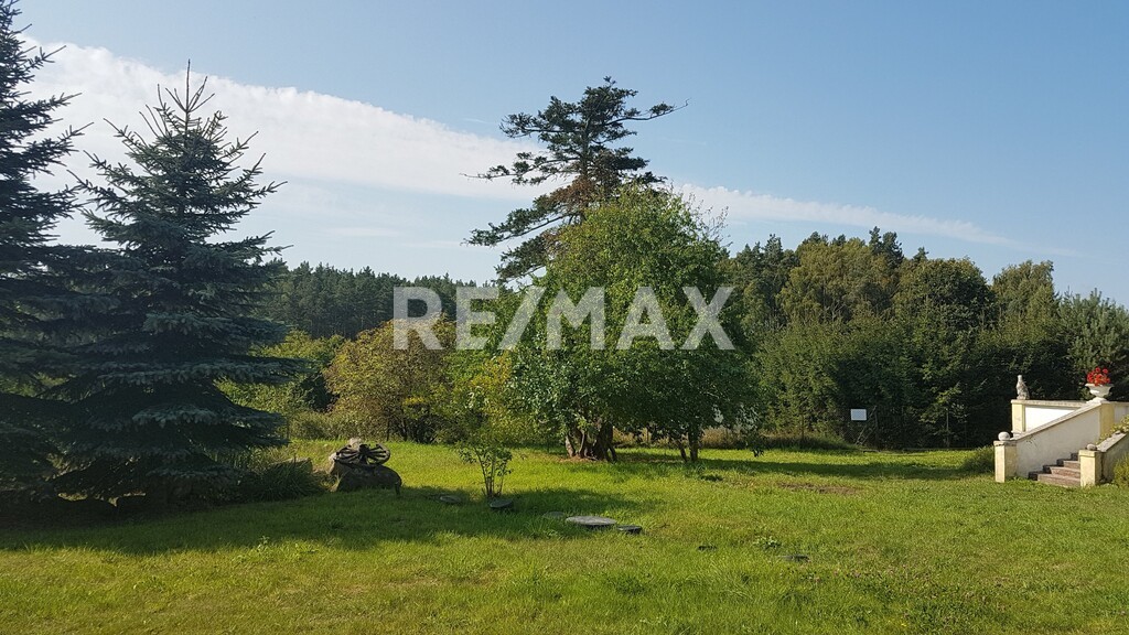 Unikalny Dworek nad Jeziorem Ciemino / Grabno (9)