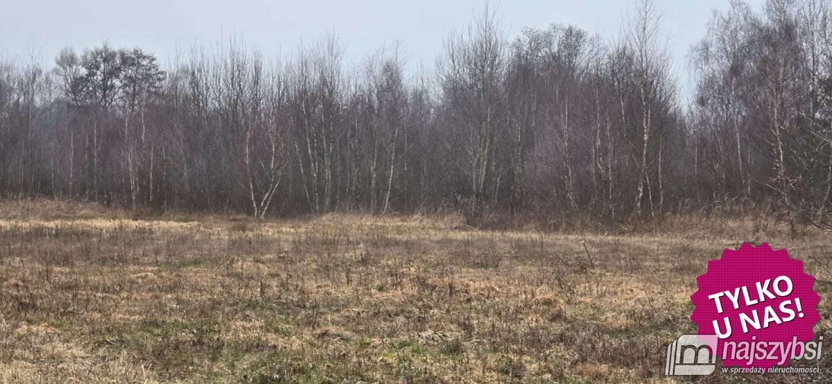 Żółwia Błoć - duża działka pod zabudowę  (1)