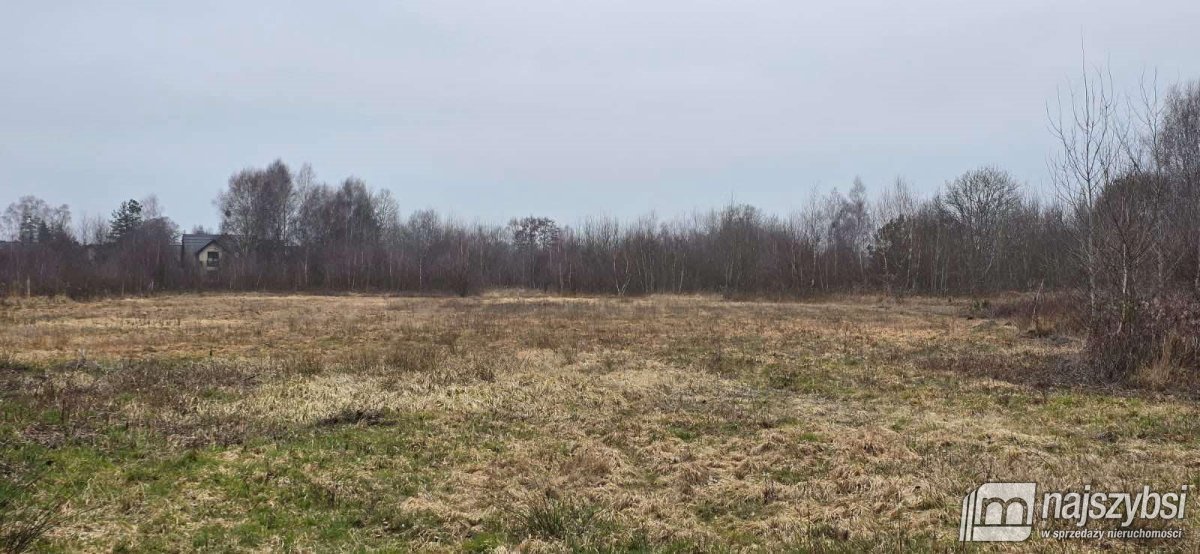 Żółwia Błoć - duża działka pod zabudowę  (4)