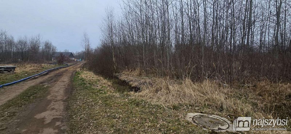 Żółwia Błoć - duża działka pod zabudowę  (6)