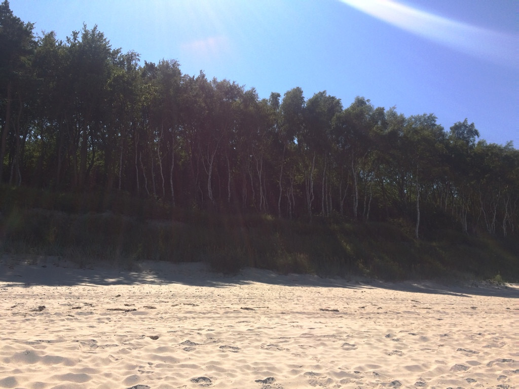 Działka 1,2km od plaży, przy lesie. Wydana WZ. (2)