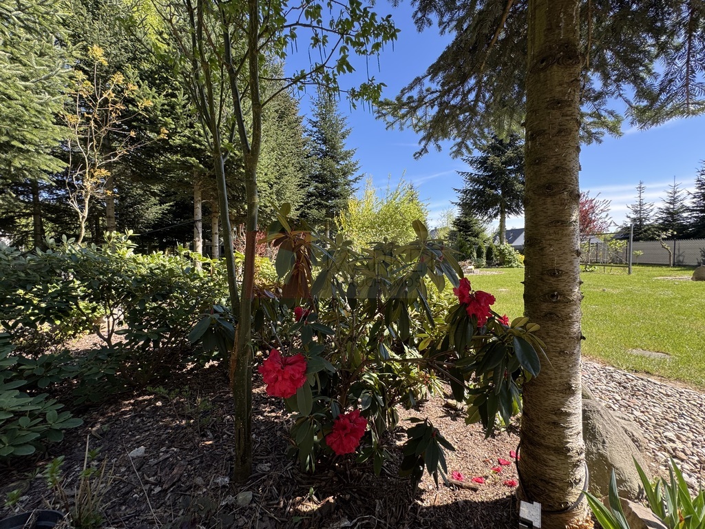 Jednorodzinny dom w Białuniu na sprzedaż 105,39 m2 (4)