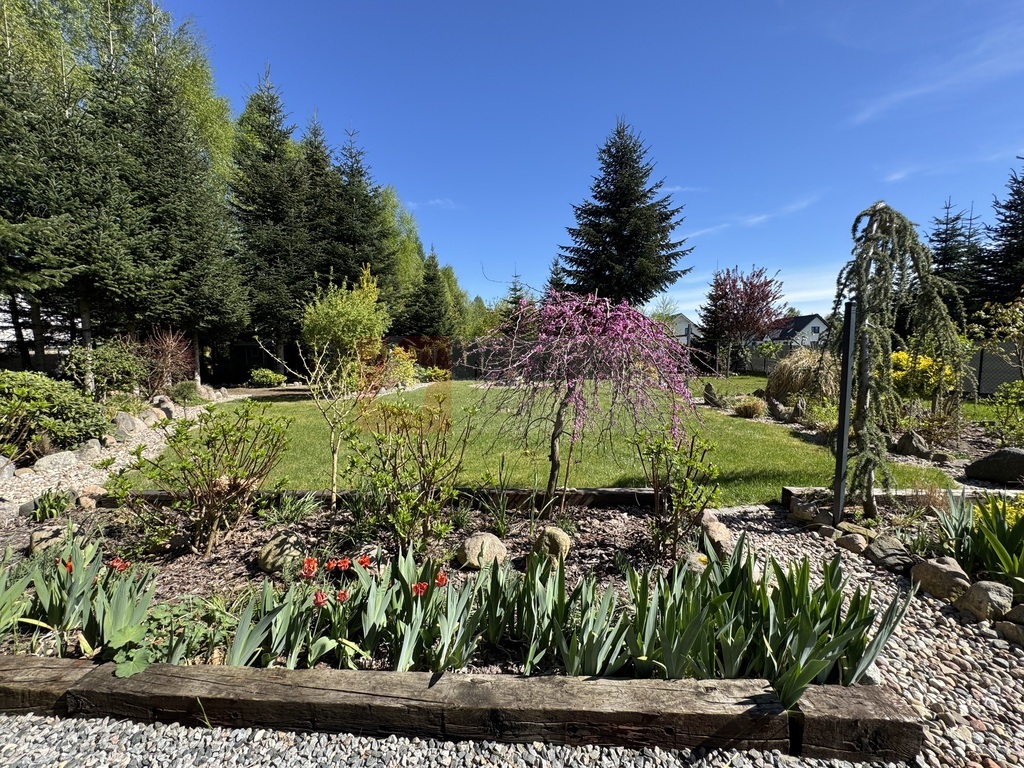 Jednorodzinny dom w Białuniu na sprzedaż 105,39 m2 (7)