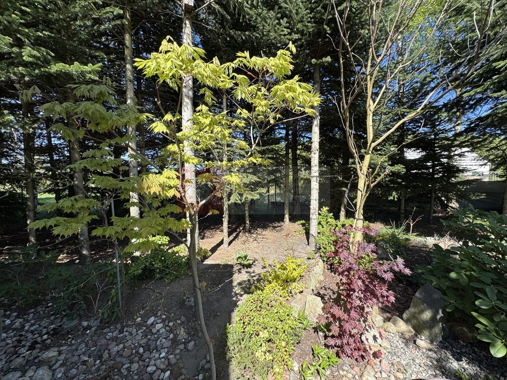 Jednorodzinny dom w Białuniu na sprzedaż 105,39 m2 (5)