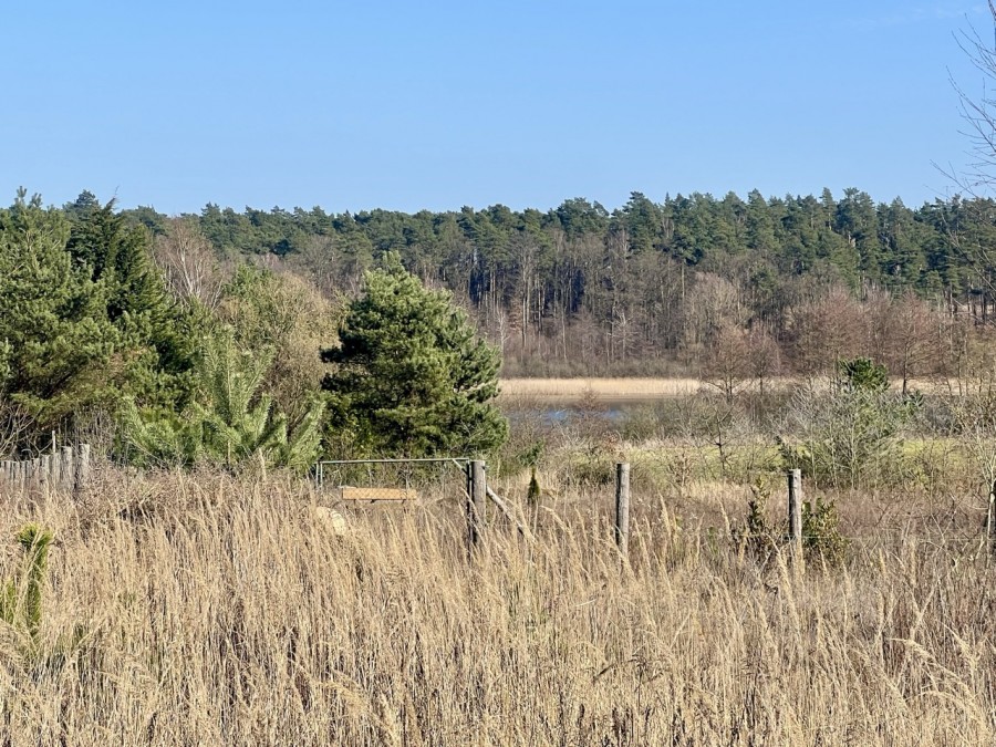 Twój azyl nad jeziorem - Dom w malinówkach 9(G) w Kolonii Grabowo (7)