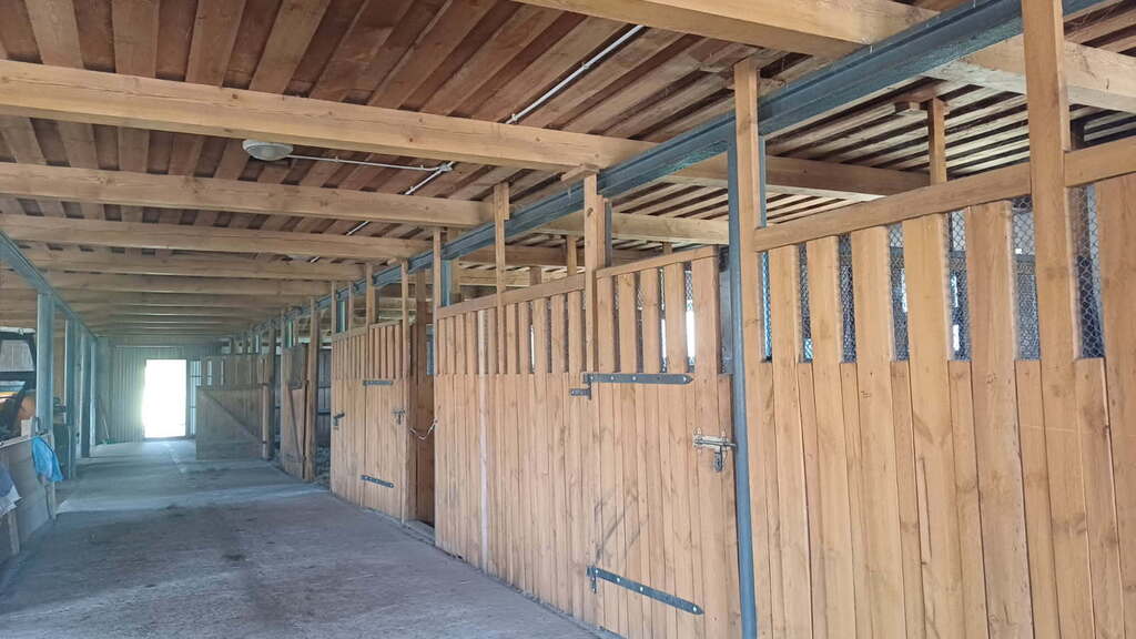 WYJĄTKOWA OFERTA – JAŹWINY (7)