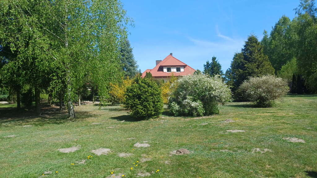 WYJĄTKOWA OFERTA – JAŹWINY (3)