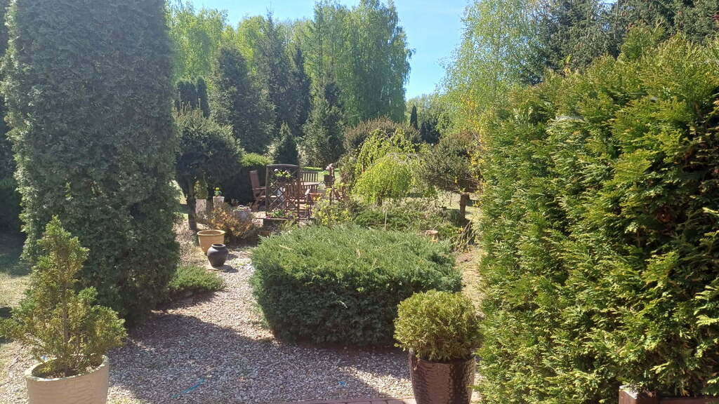 WYJĄTKOWA OFERTA – JAŹWINY (5)