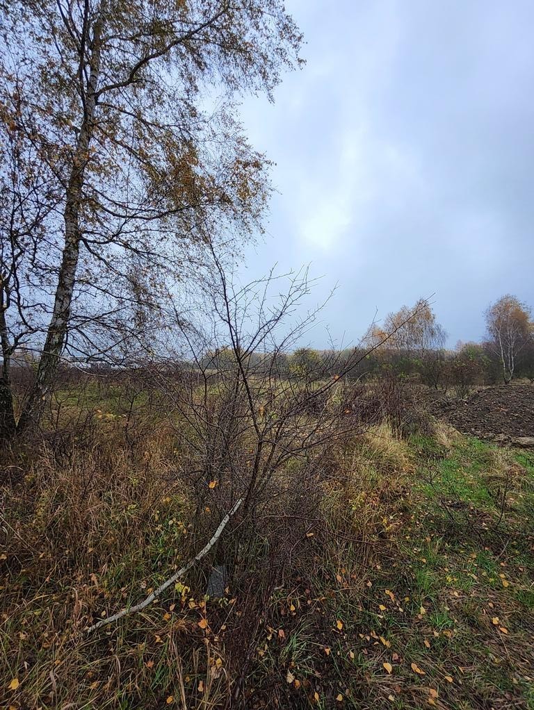 Warszewo- możliwa zabudowa bliźniacza (1)