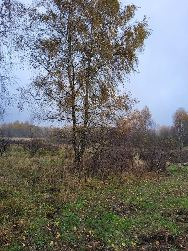 Warszewo- możliwa zabudowa bliźniacza (2)