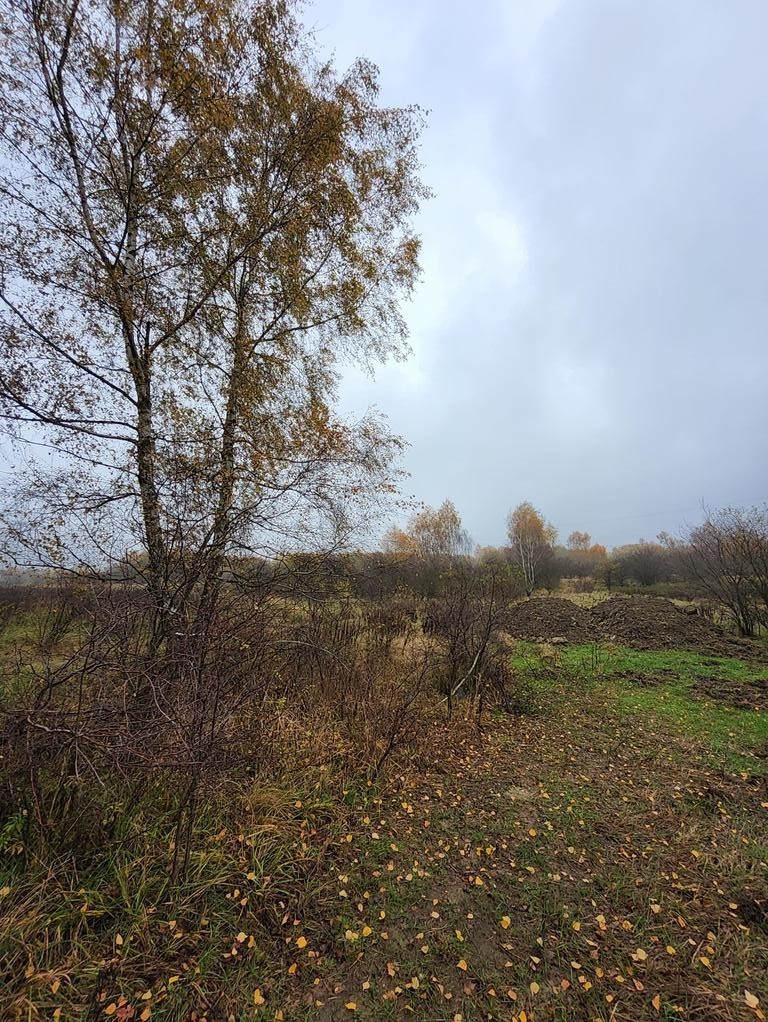 Warszewo- możliwa zabudowa bliźniacza (3)