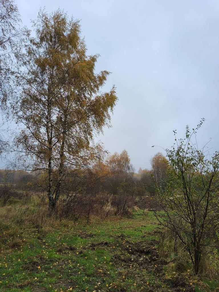 Warszewo- możliwa zabudowa bliźniacza (4)