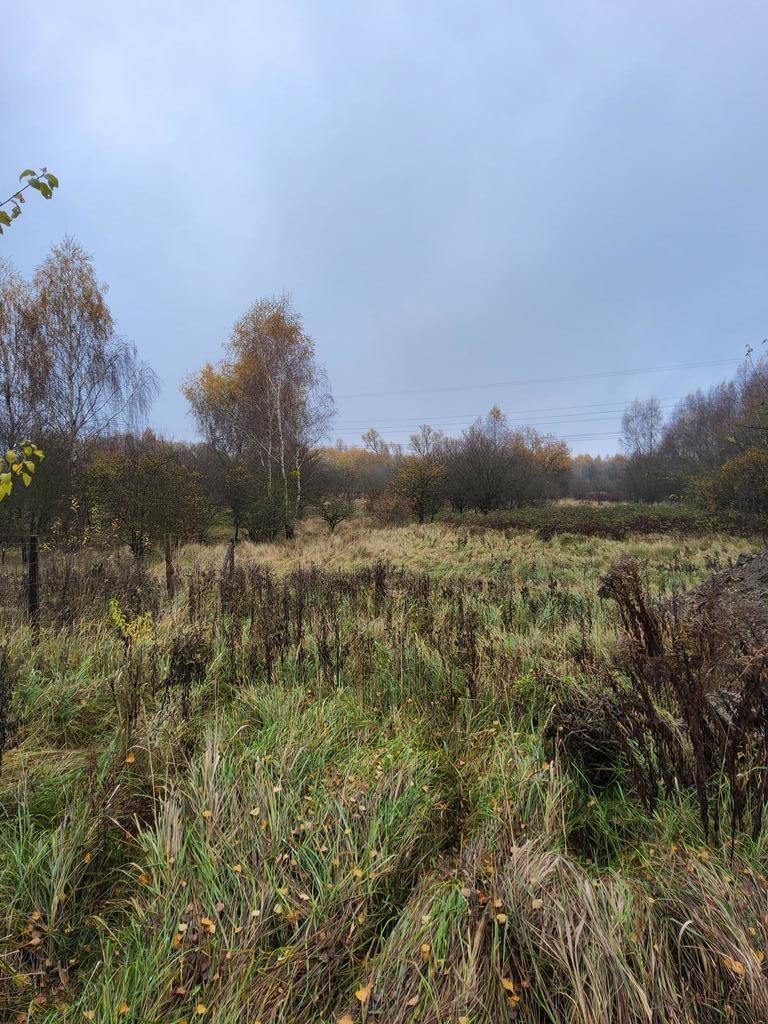 Warszewo- możliwa zabudowa bliźniacza (5)